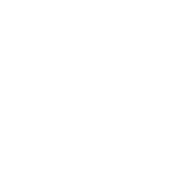 Mobile Technologies